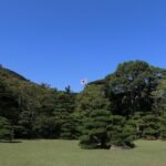 kako zaustavit krv iz nosa